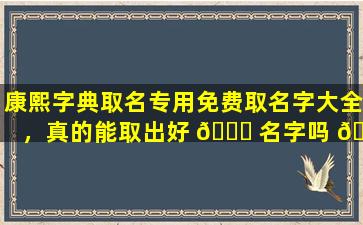 康熙字典取名专用免费取名字大全，真的能取出好 🐋 名字吗 🍀
